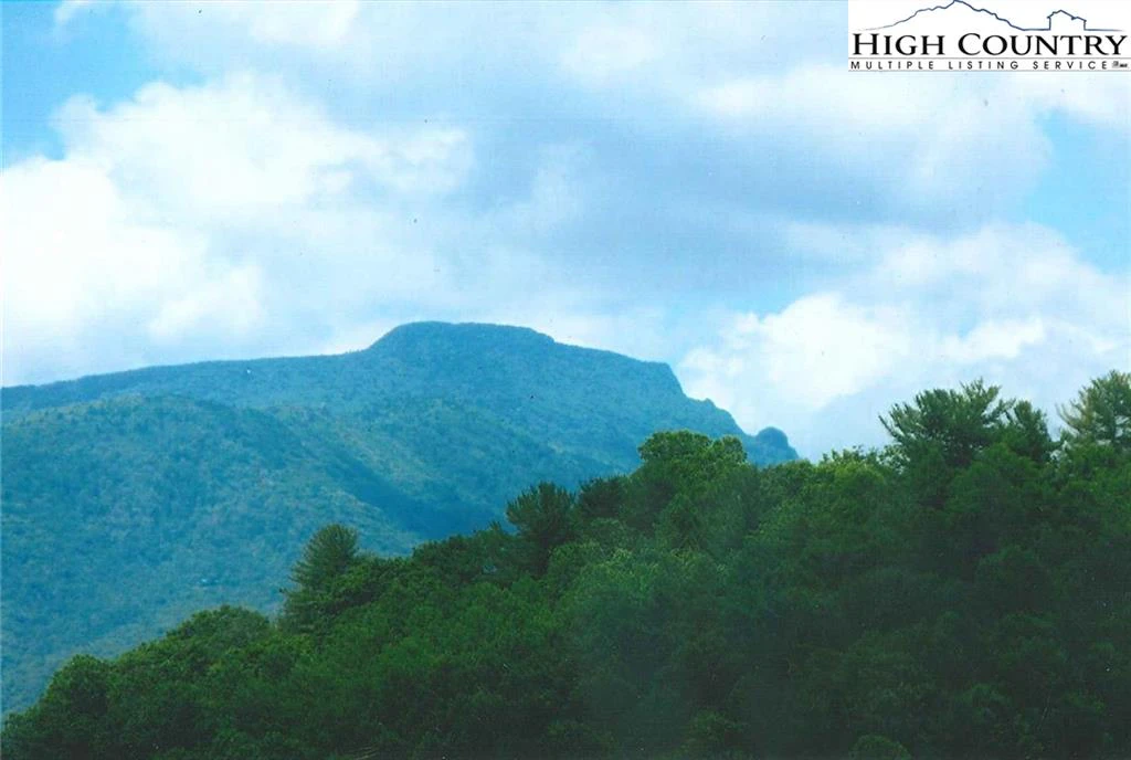 Image number 4 for the current listing