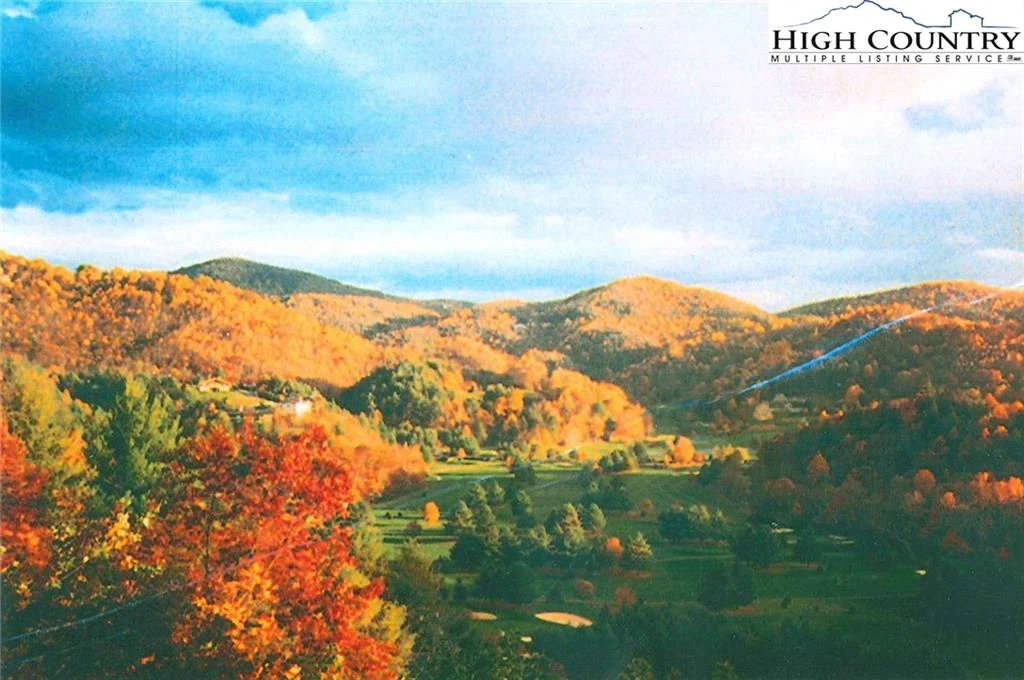 Image number 6 for the current listing