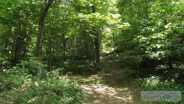 Image number 6 for the current listing