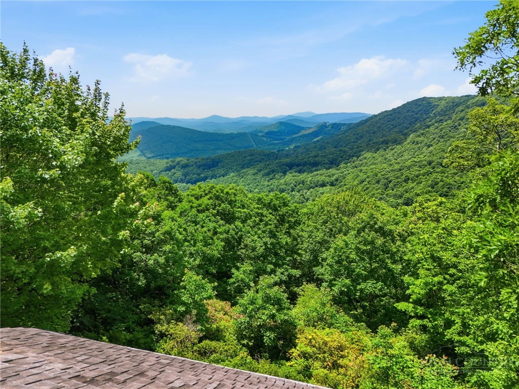Image number 2 for the current listing