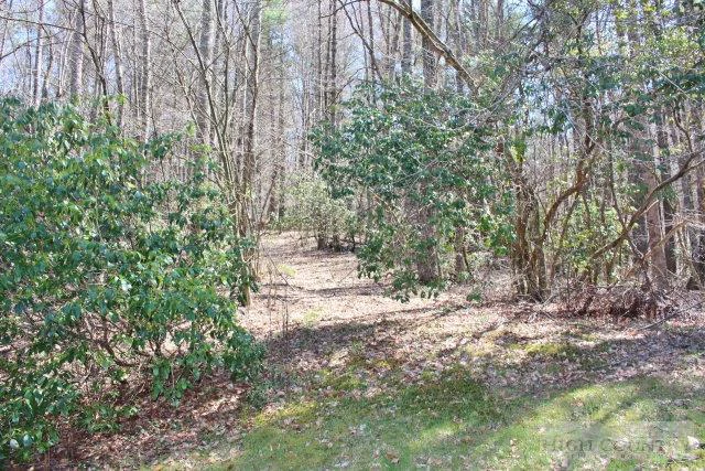 Image number 2 for the current listing