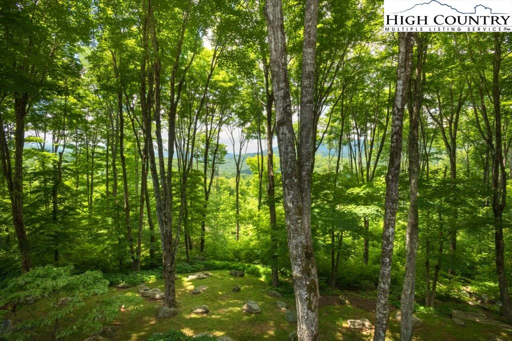 Image number 3 for the current listing