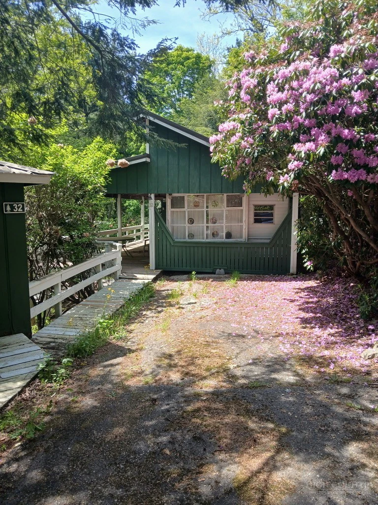 Image number 1 for the current listing