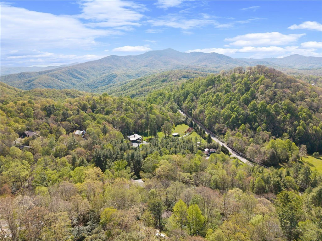 Image number 12 for the current listing