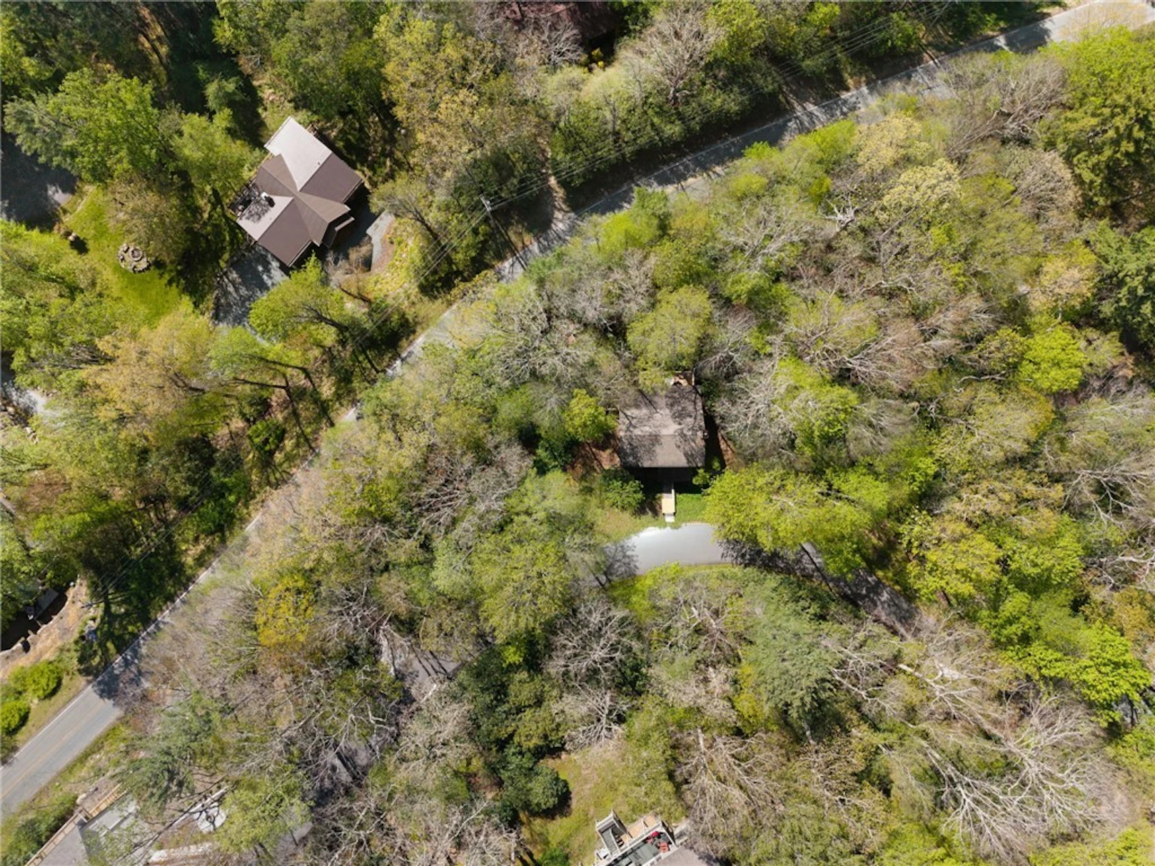 Image number 14 for the current listing