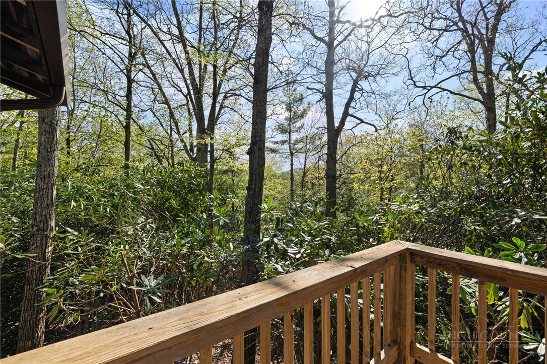Image number 4 for the current listing