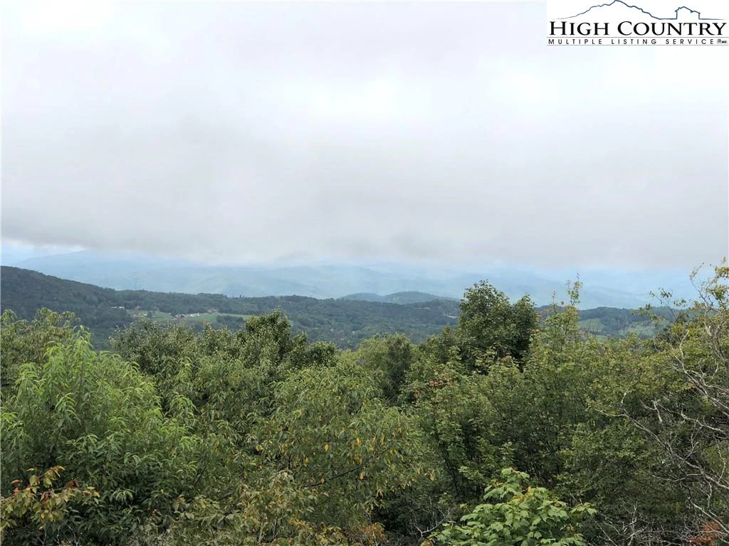Image number 1 for the current listing