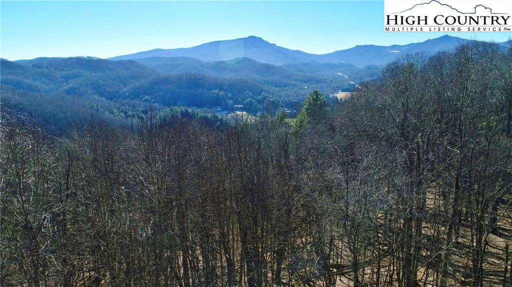 Image number 1 for the current listing