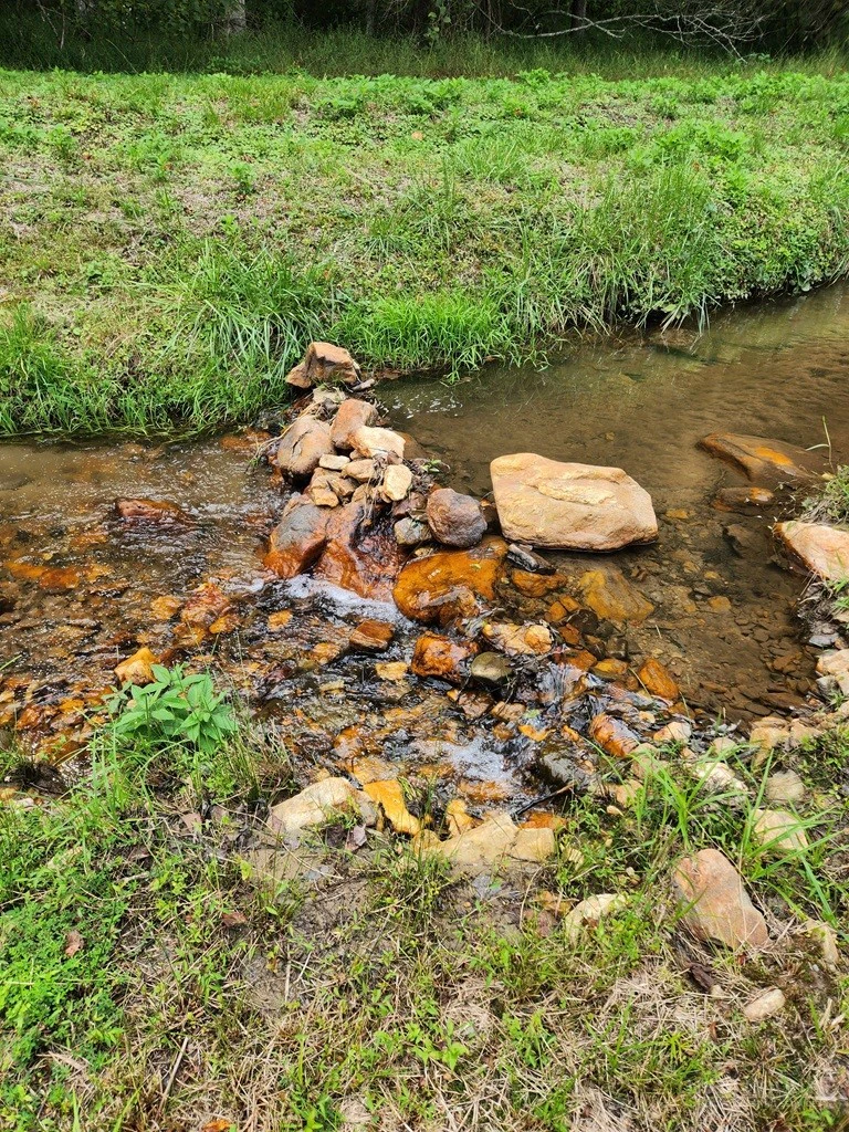 Image number 1 for the current listing