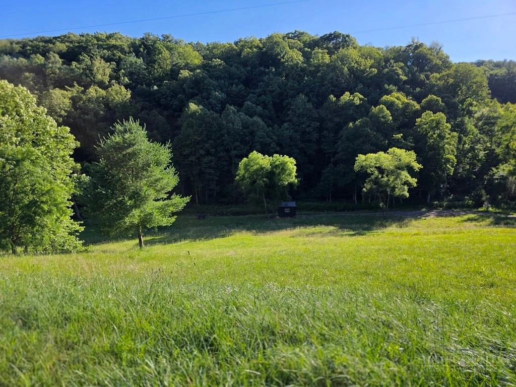 Image number 7 for the current listing