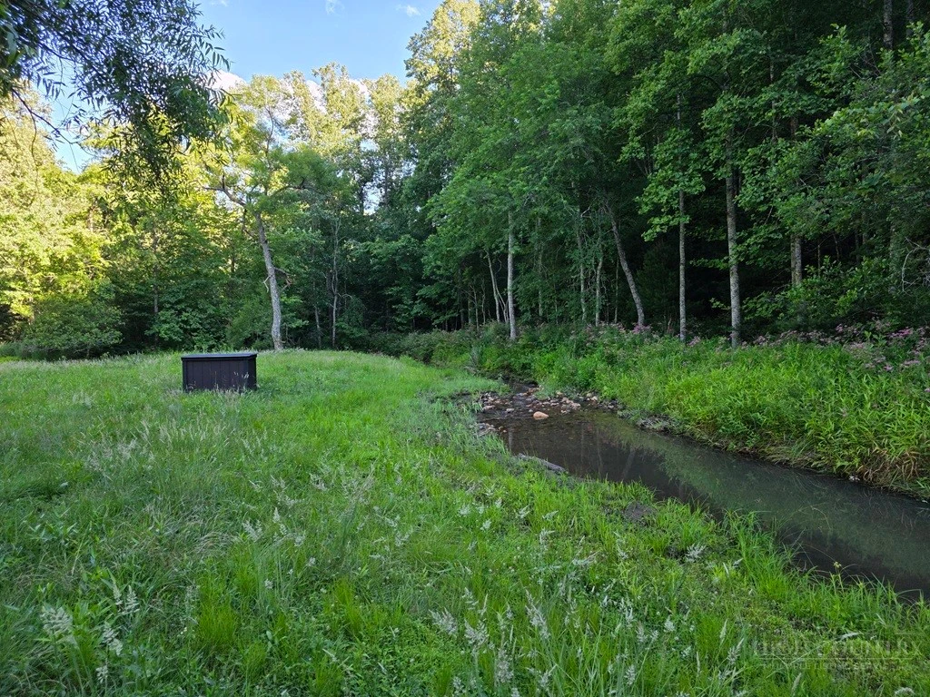 Image number 10 for the current listing