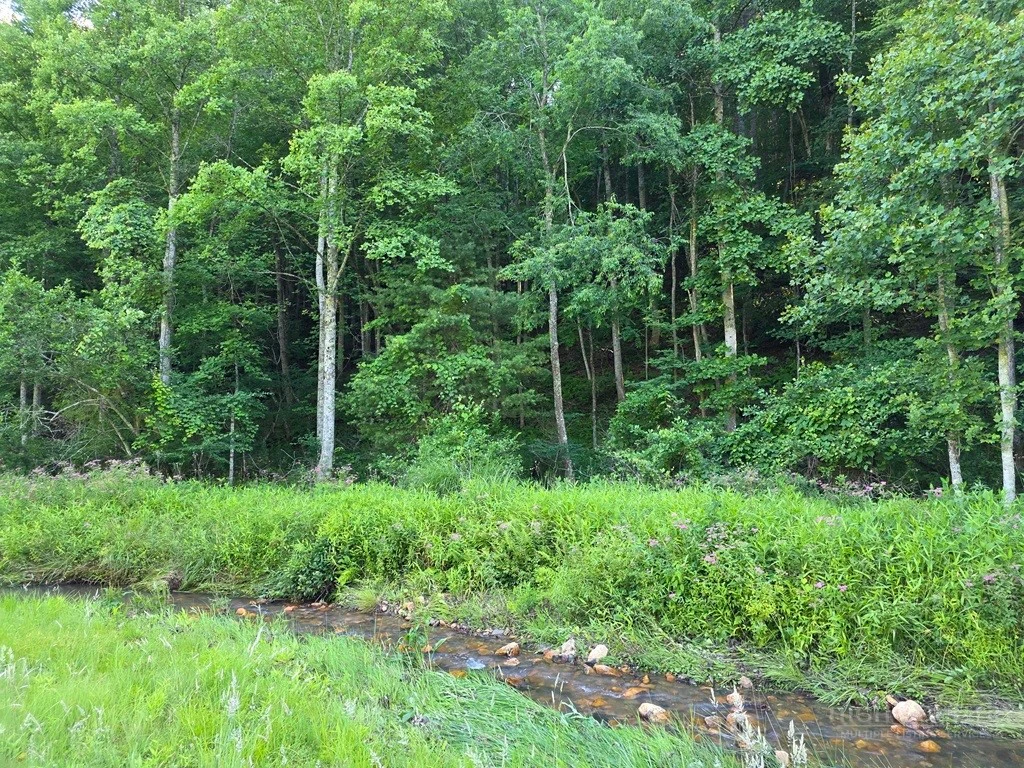 Image number 12 for the current listing