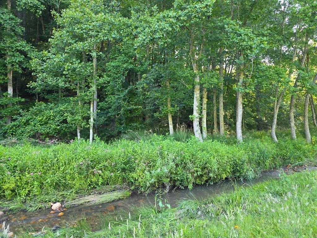 Image number 18 for the current listing