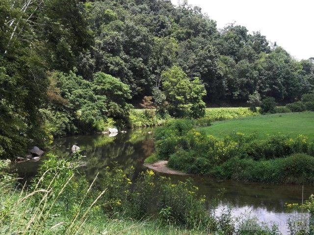 Image number 12 for the current listing