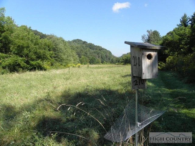 Image number 10 for the current listing