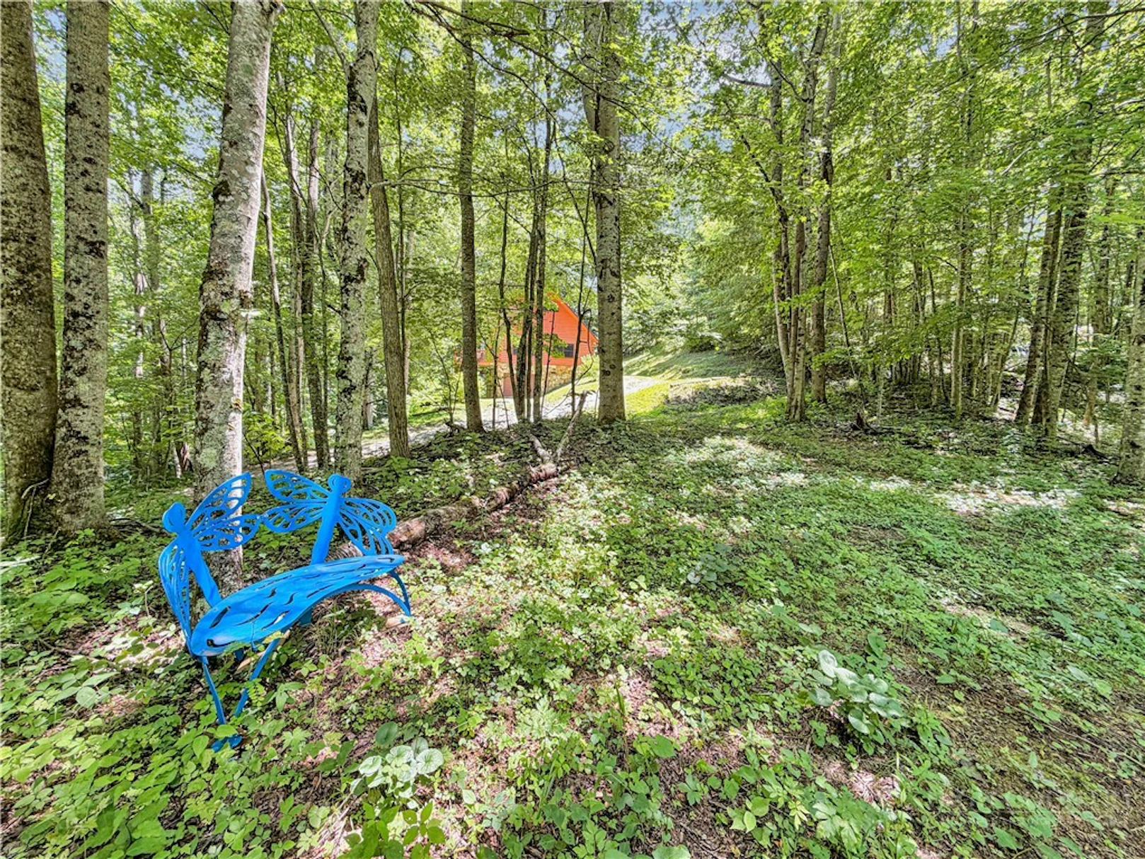 Image number 2 for the current listing