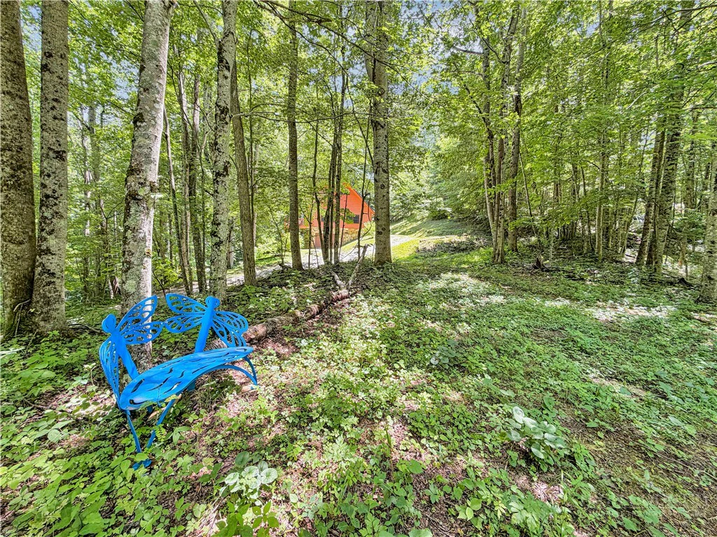 Image number 2 for the current listing