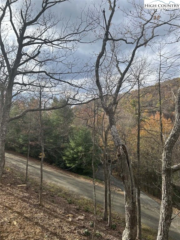Image number 10 for the current listing
