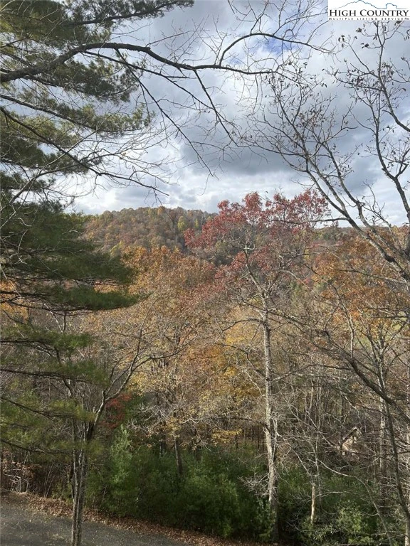 Image number 11 for the current listing