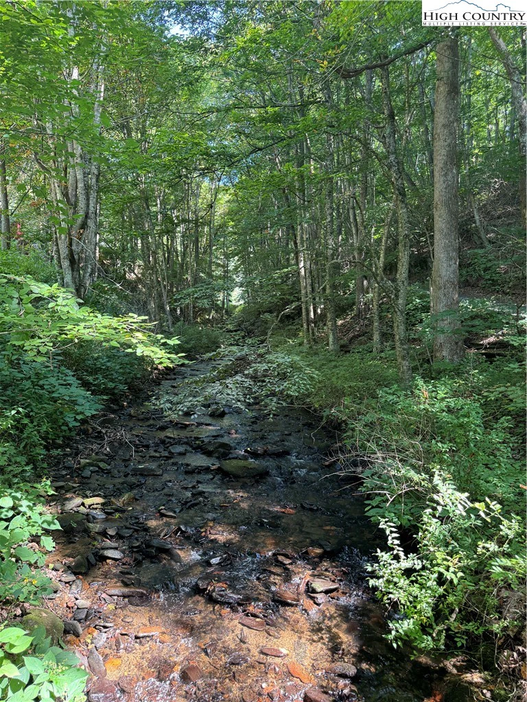 Image number 4 for the current listing