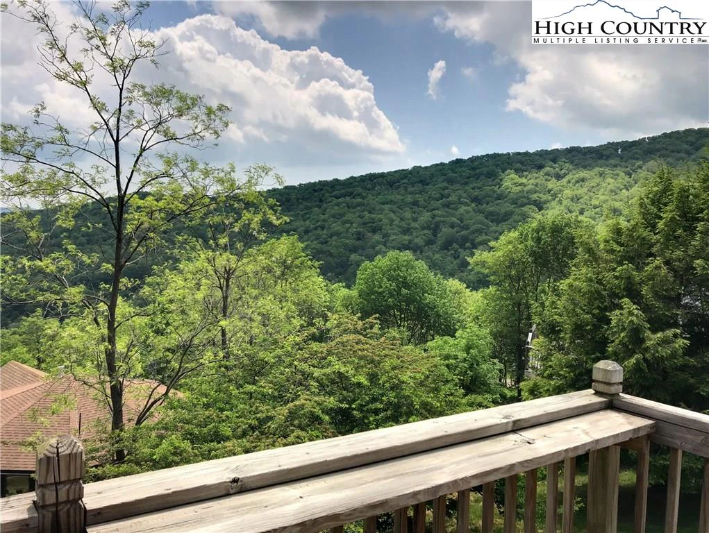 Image number 4 for the current listing