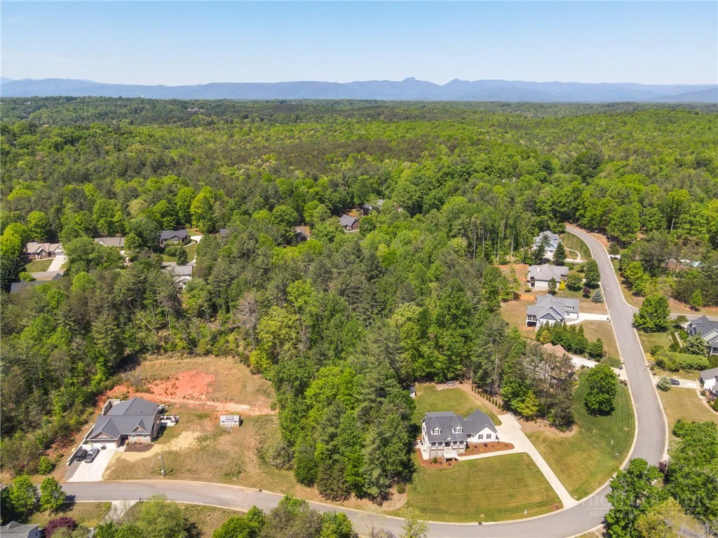 Image number 2 for the current listing