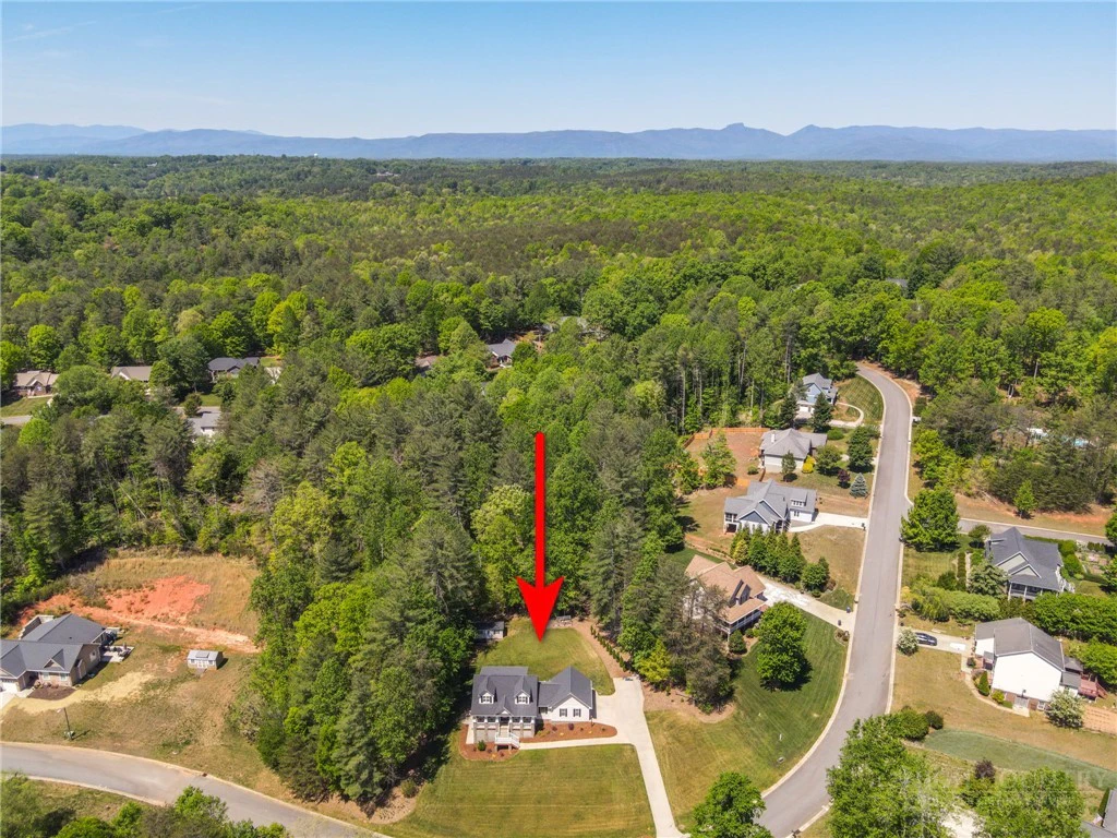 Image number 14 for the current listing