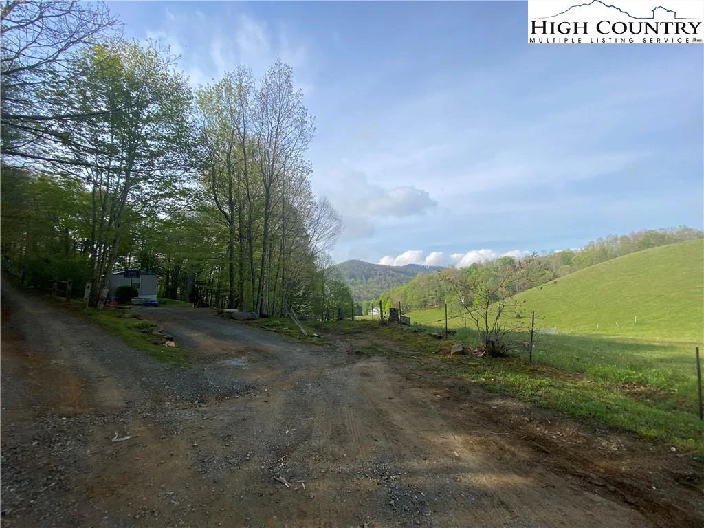 Image number 1 for the current listing