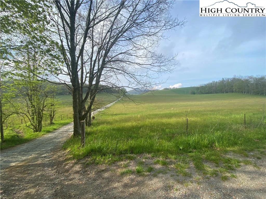 Image number 3 for the current listing
