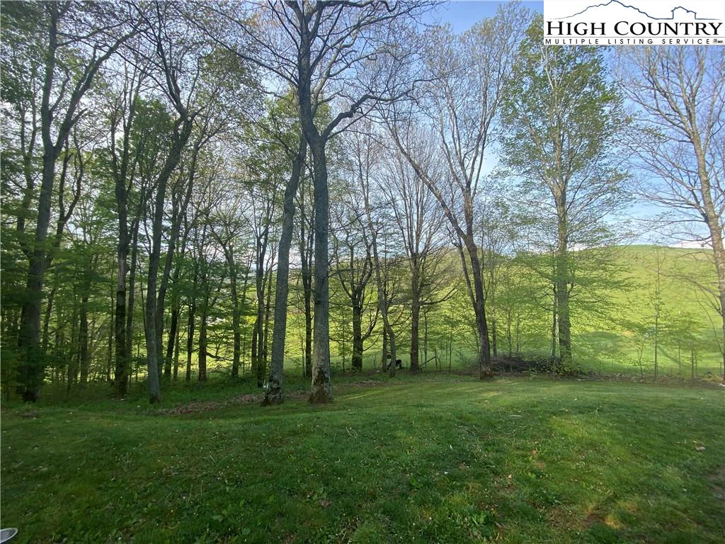 Image number 17 for the current listing
