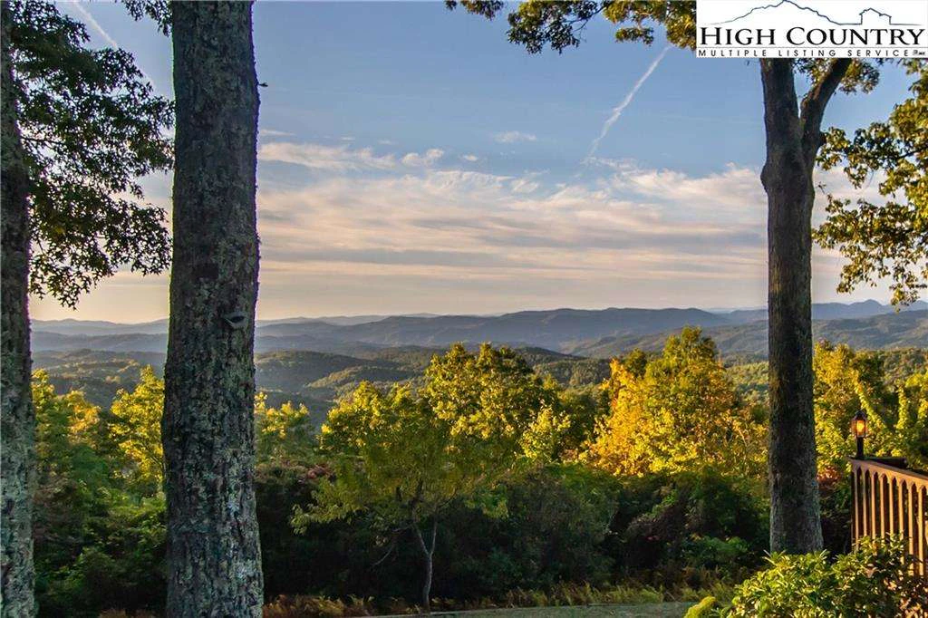 Image number 2 for the current listing