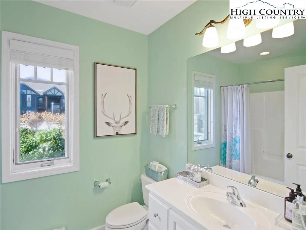 Image number 2 for the current listing