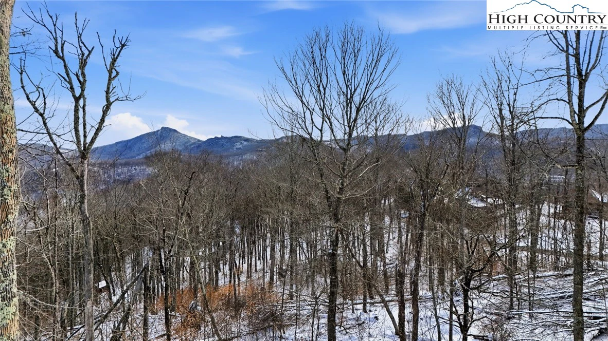 Image number 19 for the current listing