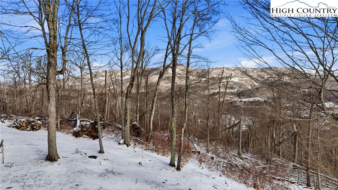 Image number 18 for the current listing