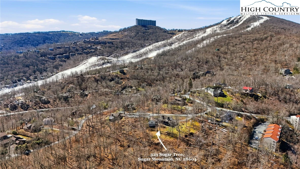 Image number 1 for the current listing