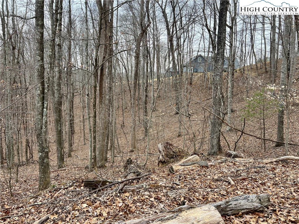 Image number 16 for the current listing