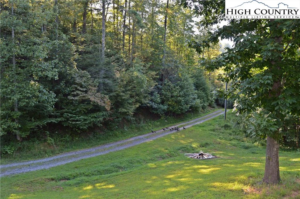 Image number 6 for the current listing