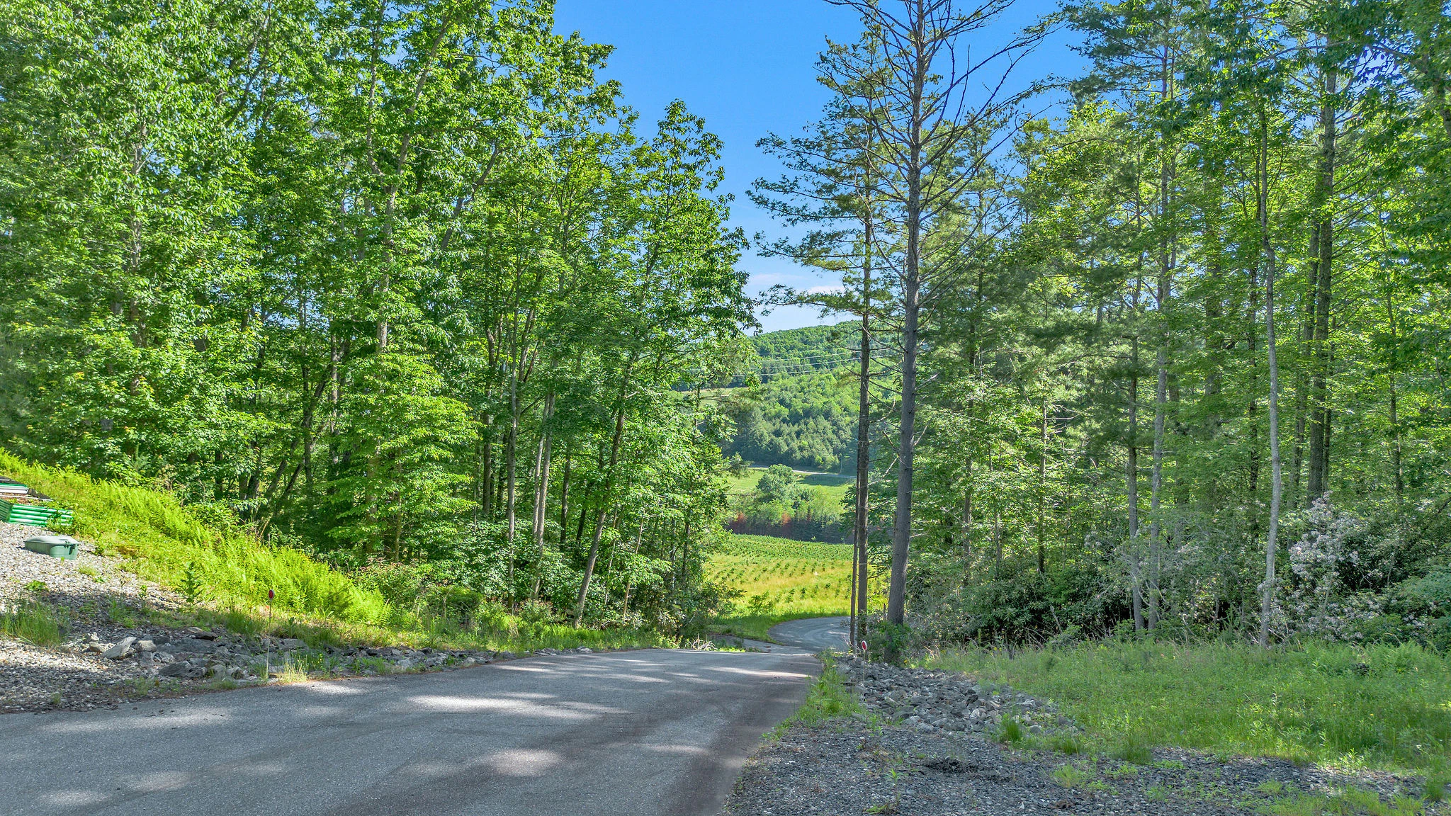 Image number 6 for the current listing