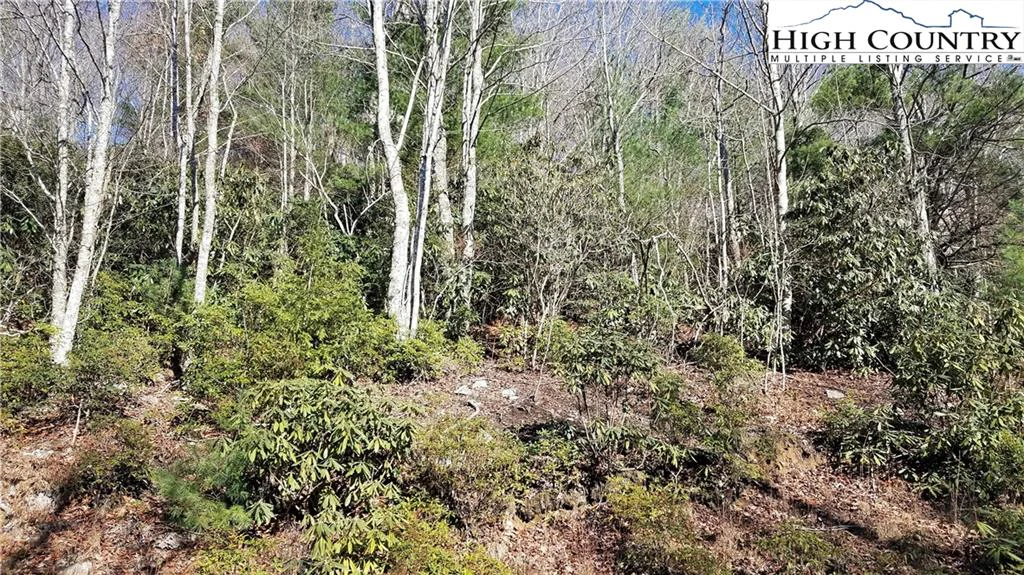 Image number 1 for the current listing