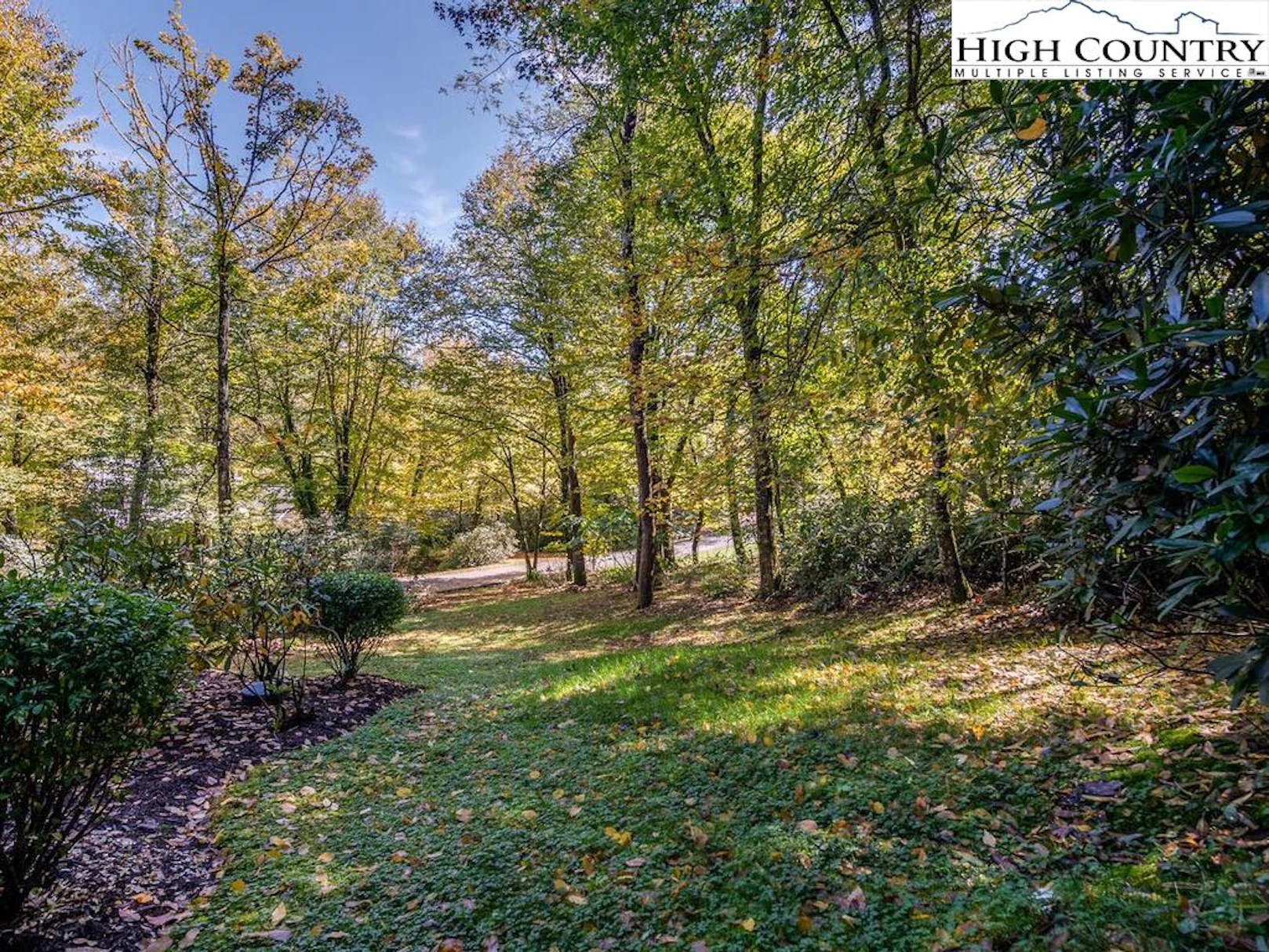 Image number 10 for the current listing