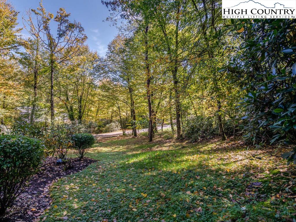 Image number 10 for the current listing