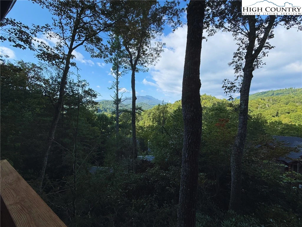 Image number 1 for the current listing