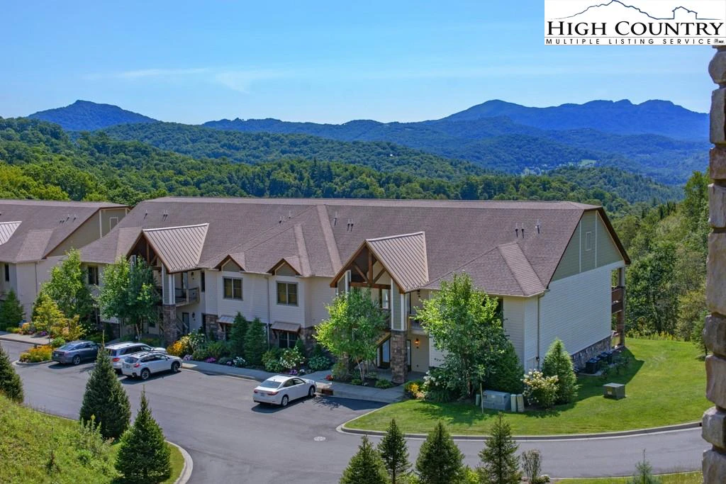 Image number 1 for the current listing