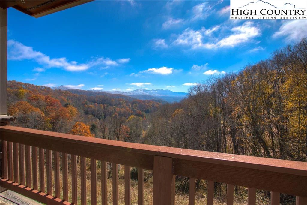 Image number 1 for the current listing