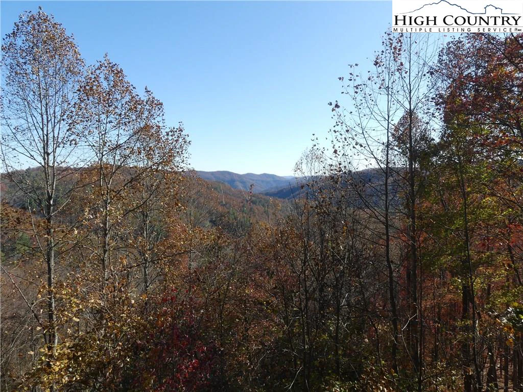 Image number 1 for the current listing