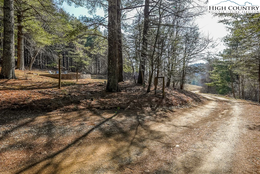 Image number 12 for the current listing