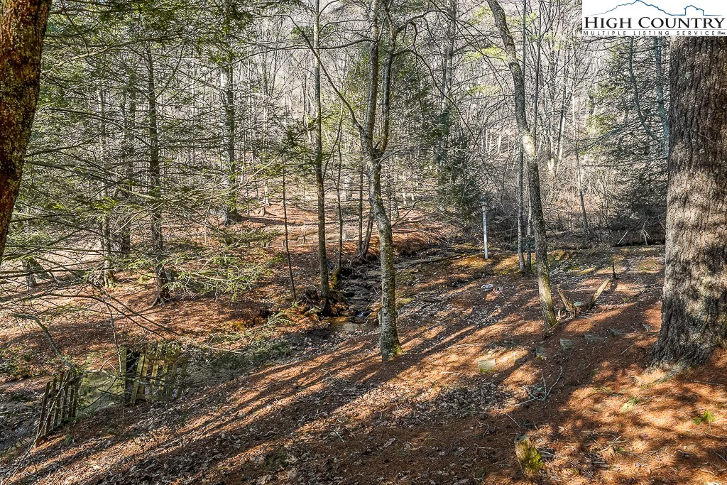 Image number 13 for the current listing