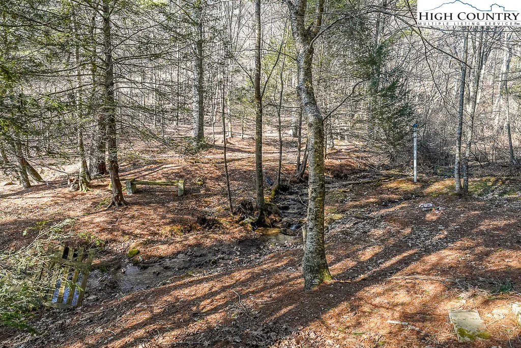 Image number 2 for the current listing