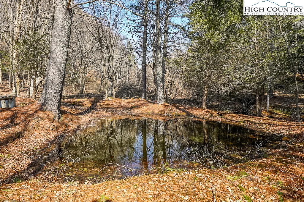 Image number 18 for the current listing