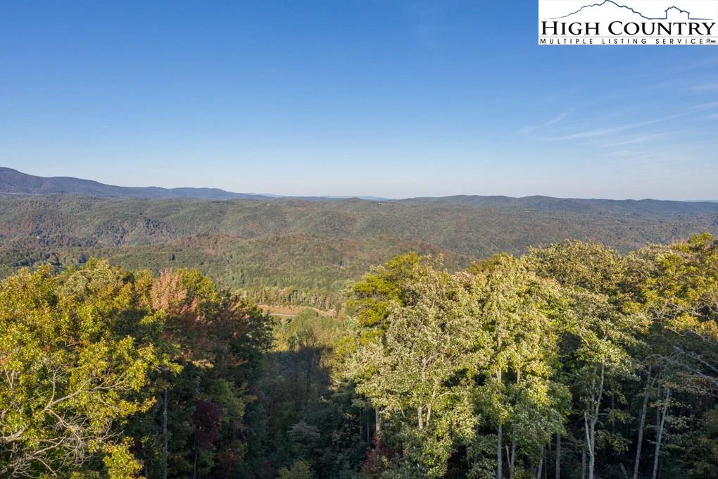 Image number 1 for the current listing